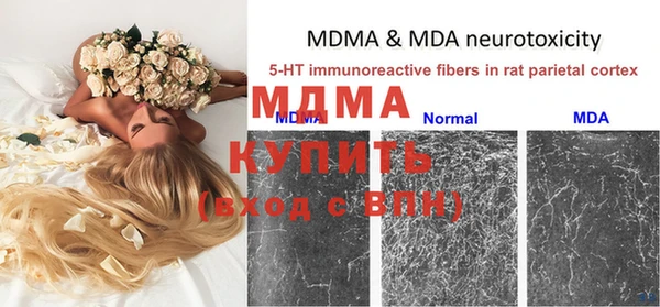 амф Белокуриха