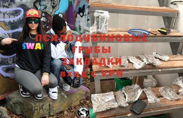 бошки Богданович